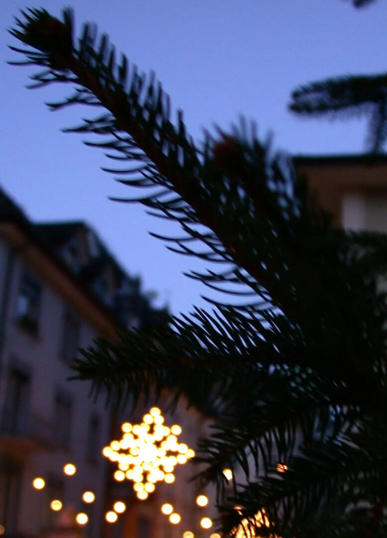 Keine Lichter am Christbaum auf dem Marktplatz in Rorschach: In der Region am See wird es dunkel in den Quartieren